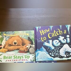 Winter / Christmas books set of 2